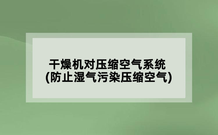 干燥机对压缩空气系统(防止湿气污染压缩空气)